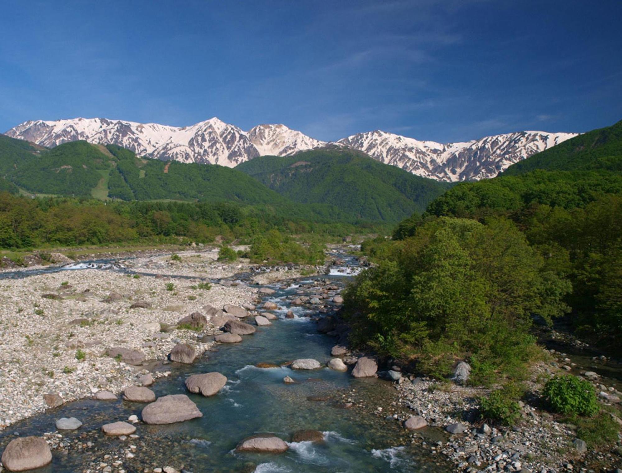 Hakuba Mominoki Hotel Dış mekan fotoğraf