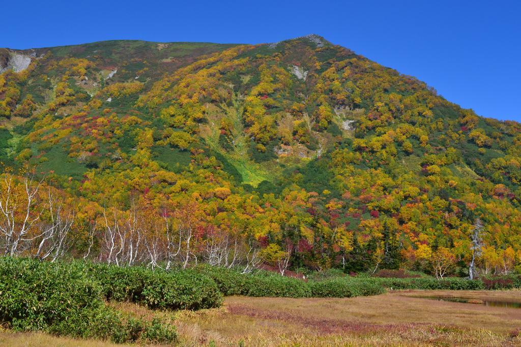 Hakuba Mominoki Hotel Dış mekan fotoğraf